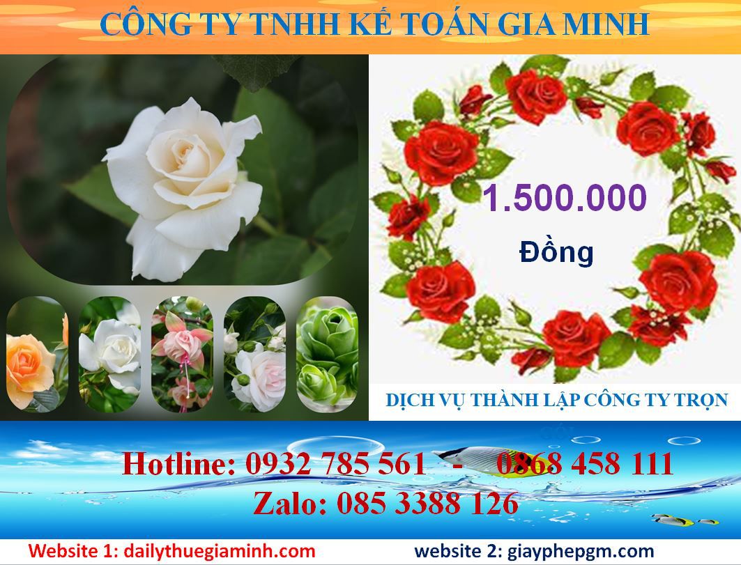 Dịch vụ mở công ty tại Quận 11 5 Chi phí thành lập công ty tại Quận 11