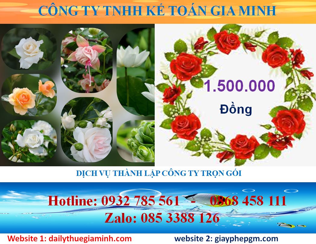Dịch vụ mở công ty tại Quận 3 5 Chi phí thành lập công ty tại Quận 3