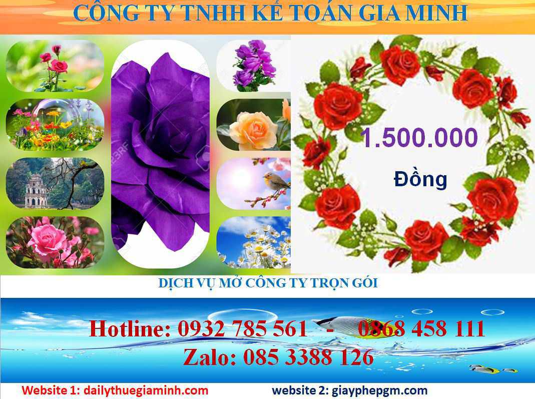 Mở công ty trọn gói tại Quận 2 – Dịch vụ chuyên nghiệp, tiết kiệm thời gian 5 Chi phí mở công ty trọn gói ở Quận 2
