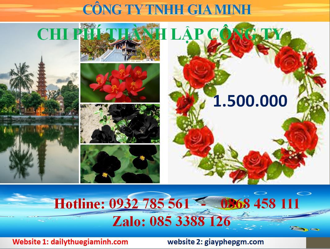 Dịch vụ thành lập công ty An Giang 11 Chi phí thành lập công ty An Giang