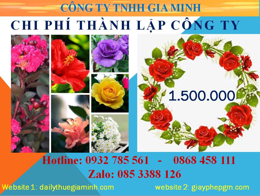 Dịch vụ thành lập công ty Thanh Hóa 5 Chi phí thành lập công ty tại Thanh Hóa