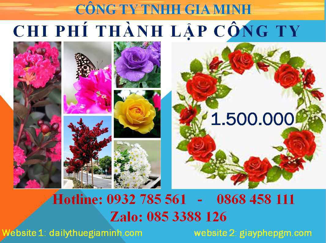 Dịch vụ thành lập công ty Tuyên Quang 5 Chi phí thành lập công ty Tuyên Quang