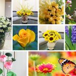 Chi phí thành lập trung tâm ngoại ngữ Bắc Giang 6 Cần thành lập trung tâm ngoại ngữ Bắc Giang