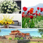 Chi phí thành lập trung tâm ngoại ngữ Bắc Ninh 6 Cần thành lập trung tâm ngoại ngữ Bắc Ninh
