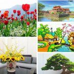 Chi phí thành lập trung tâm ngoại ngữ Bình Định 6 Cần thành lập trung tâm ngoại ngữ Bình Định