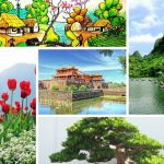 Chi phí thành lập trung tâm ngoại ngữ Cần Thơ 6 Cần thành lập trung tâm ngoại ngữ Cần Thơ