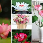 Chi phí thành lập trung tâm ngoại ngữ Hà Nam 6 Cần thành lập trung tâm ngoại ngữ Thái Bình