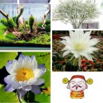 Điều kiện thành lập trung tâm ngoại ngữ Hà Nam 6 Cần thành lập trung tâm ngoại ngữ tại Hà Nam