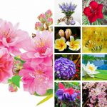 Chi phí thành lập trung tâm ngoại ngữ Hải Dương 6 Cần thành lập trung tâm ngoại ngữ Hải Dương