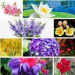 Chi phí thành lập trung tâm ngoại ngữ Hòa Bình 6 ần thành lập trung tâm ngoại ngữ Hòa Bình