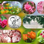 Chi phí thành lập trung tâm ngoại ngữ Huế 14 Cần thành lập trung tâm ngoại ngữ Huế