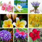 Chi phí thành lập trung tâm ngoại ngữ Hưng Yên 6 Cần thành lập trung tâm ngoại ngữ Hưng Yên