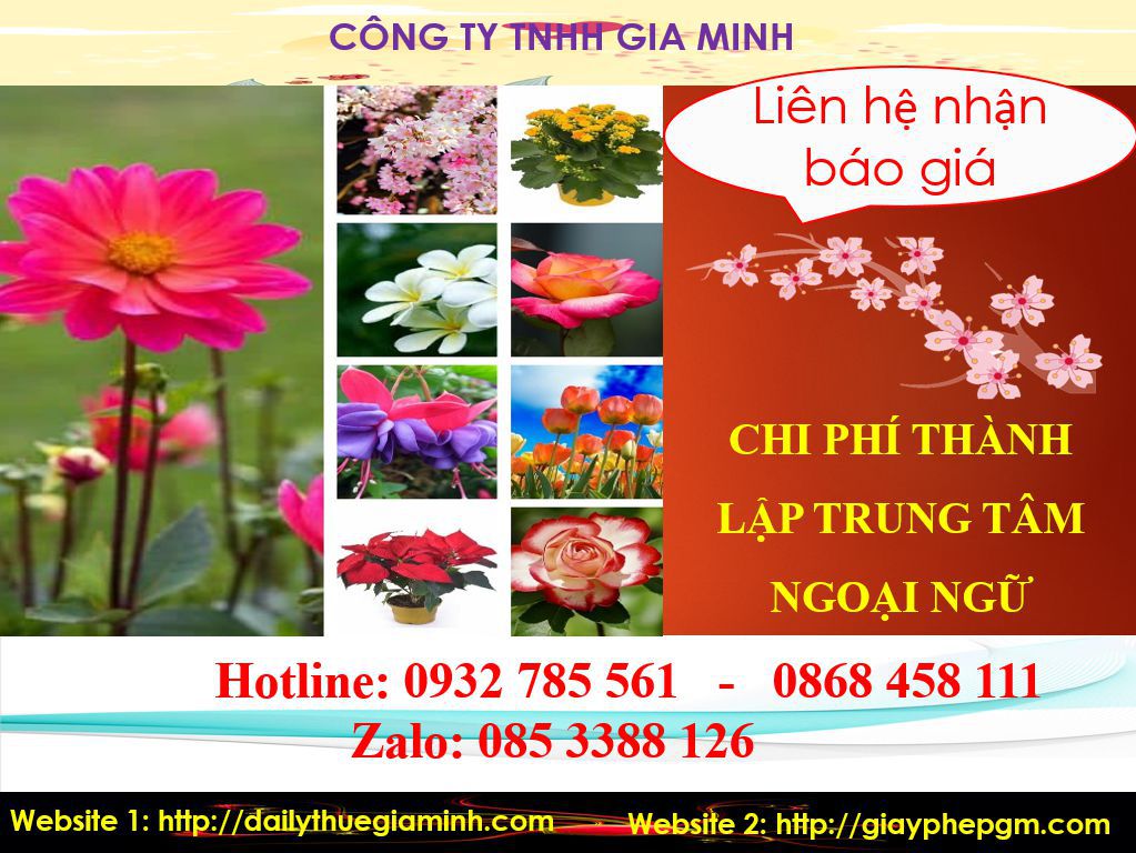 Chi phí thành lập trung tâm ngoại ngữ Lai Châu 5 Chi phí thành lập trung tâm ngoại ngữ
