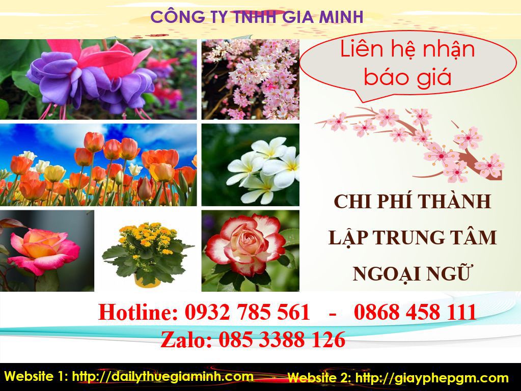 Chi phí thành lập trung tâm ngoại ngữ Nam Định 5 Chi phí thành lập trung tâm ngoại ngữ