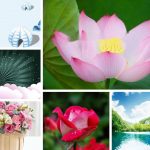 Chi phí thành lập trung tâm ngoại ngữ Quảng Bình 6 Cần thành lập trung tâm ngoại ngữ Quảng Bình