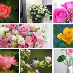 Cần thành lập trung tâm ngoại ngữ Thái Nguyên
