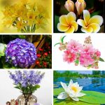 Chi phí thành lập trung tâm ngoại ngữ Tuyên Quang 14 Cần thành lập trung tâm ngoại ngữ Tuyên Quang