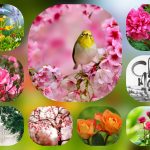 Cần thành lập trung tâm ngoại ngữ Vĩnh Phúc