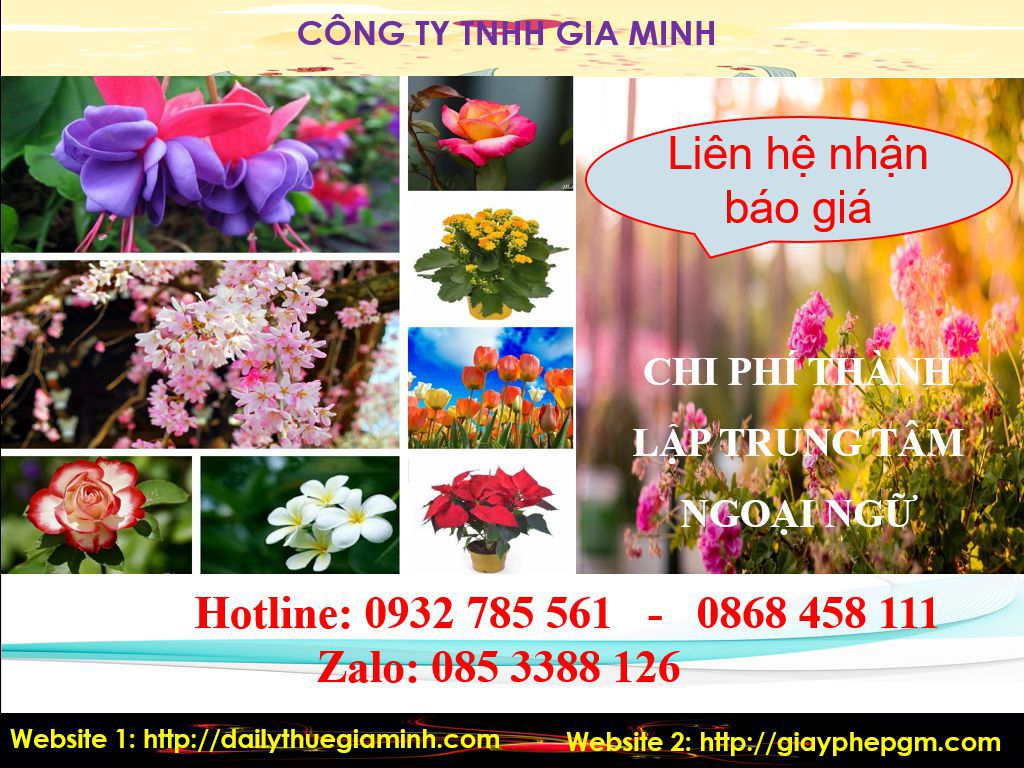 Chi phí thành lập trung tâm ngoại ngữ