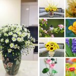 Chi phí thành lập trung tâm ngoại ngữ Vũng Tàu 6 Cần thành lập trung tâm ngoại ngữ Vũng Tàu