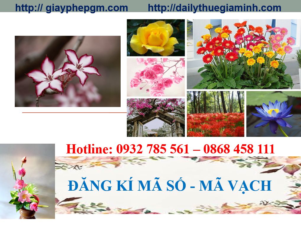 Đăng ký mã vạch tại Sơn La 8 Thủ tục đăng ký mã vạch