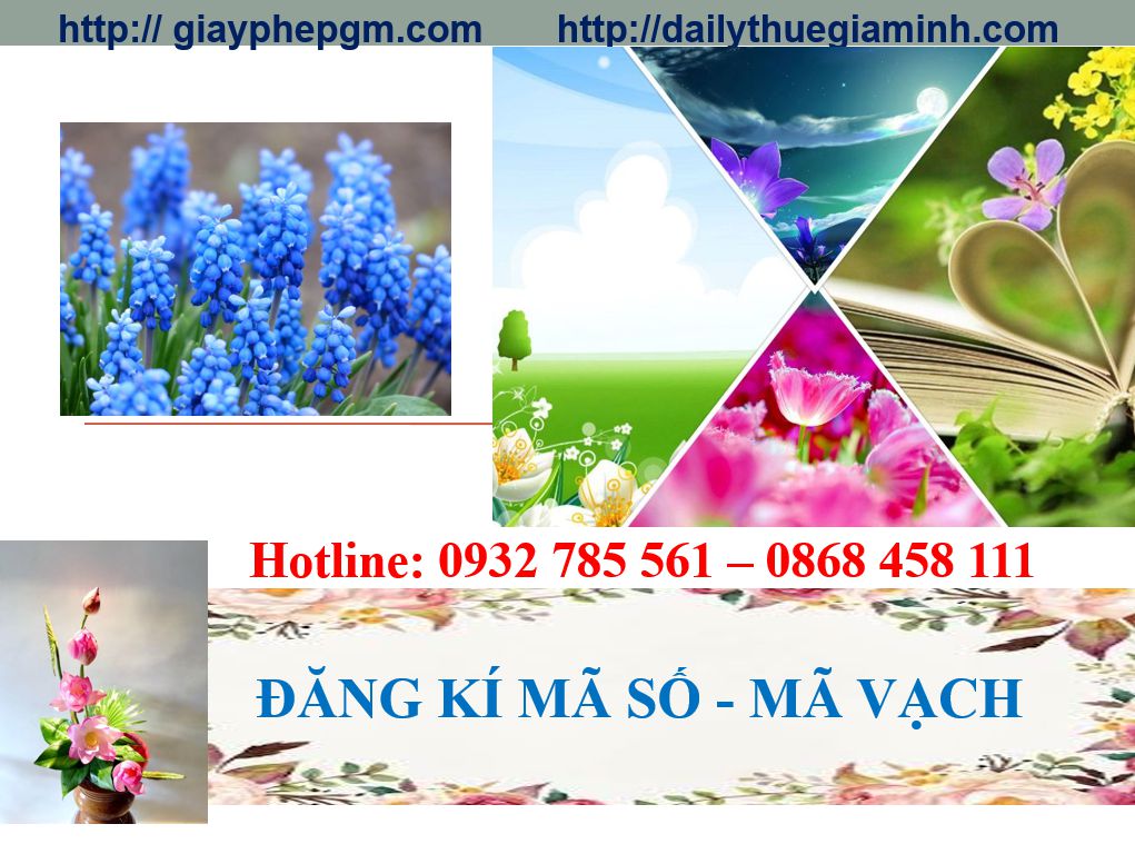 Thủ tục đăng ký mã vạch