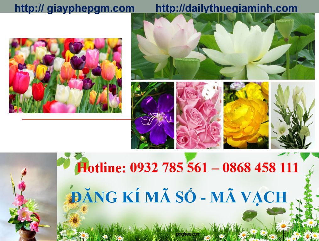 Đăng ký mã vạch tại Tuyên Quang 5 Thủ tục đăng ký mã vạch