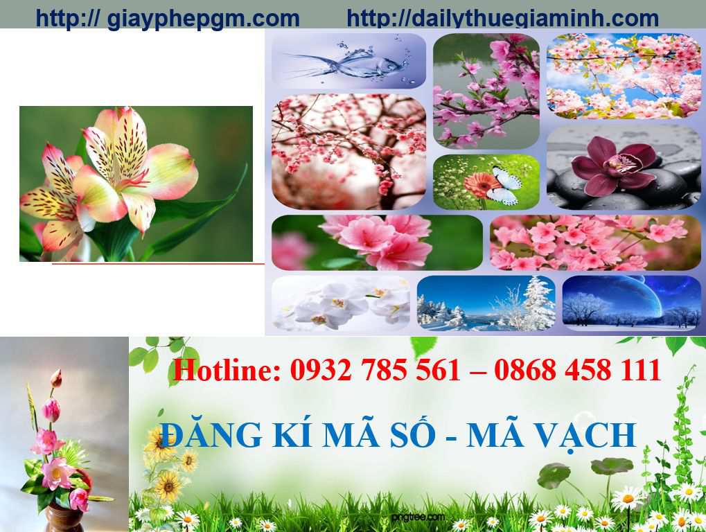 Đăng ký mã vạch tại Yên Bái 8 thủ tục Đăng ký mã vạch tại Yên Bái