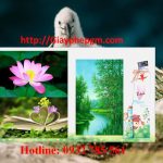 Đăng ký mã vạch tại Bình Định 8 Cần đăng ký mã vạch