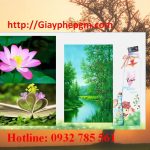 Đăng ký mã vạch tại Bình Dương 14 Cần đăng ký mã vạch