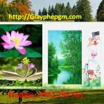 Đăng ký mã vạch tại Bình Phước 8 Cần đăng ký mã vạch