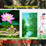 Đăng ký mã vạch tại Bình Thuận 8 Cần đăng ký mã vạch