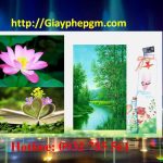 Đăng ký mã vạch tại Cần Thơ 14 Cần đăng ký mã vạch