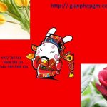 Cần đăng ký mã vạch