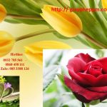 Đăng ký mã vạch tại Hải Dương 14 Cần đăng ký mã vạch