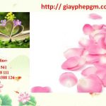 Đăng ký mã vạch tại Hải Phòng 14 Cần đăng ký mã vạch