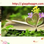 Đăng ký mã vạch tại Hòa Bình 8 Cần đăng ký mã vạch