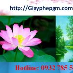 Đăng ký mã vạch tại Lai Châu 8 Cần đăng ký mã vạch