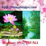 Đăng ký mã vạch tại Lạng Sơn 14 Cần đăng ký mã vạch