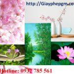 Đăng ký mã vạch tại Lào Cai 8 Cần đăng ký mã vạch