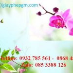 Đăng ký mã vạch tại Quảng Ninh 14 Cần đăng ký mã vạch
