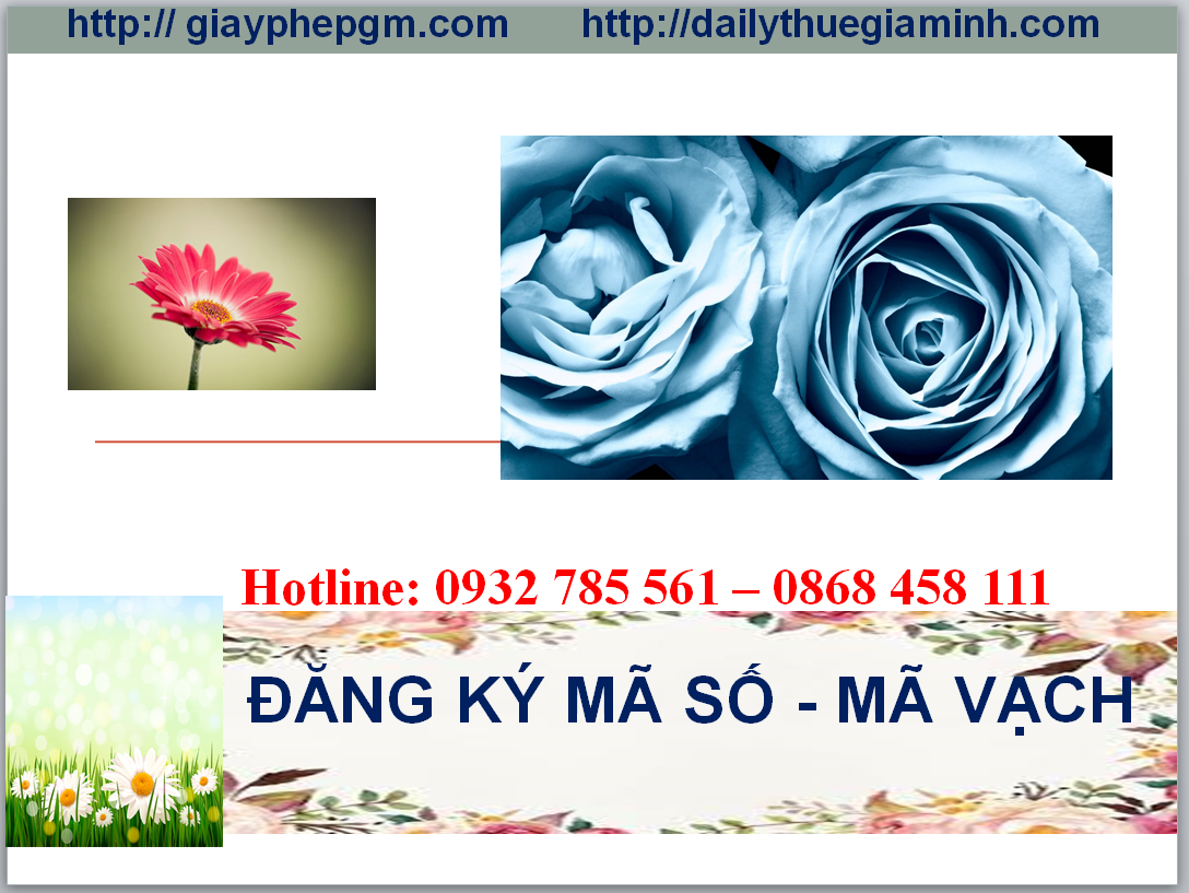 Đăng ký mã vạch tại Thừa Thiên Huế 8 thủ tục Đăng ký mã vạch tại Thừa Thiên Huế