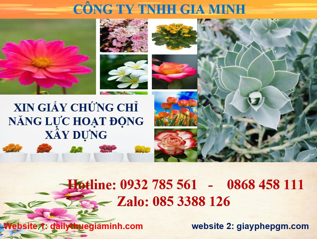 Dịch vụ cấp chứng chỉ năng lực xây dựng hạng III tại Bắc Kạn 4 Dịch vụ cấp chứng chỉ năng lực xây dựng hạng III tại Bắc Kạn