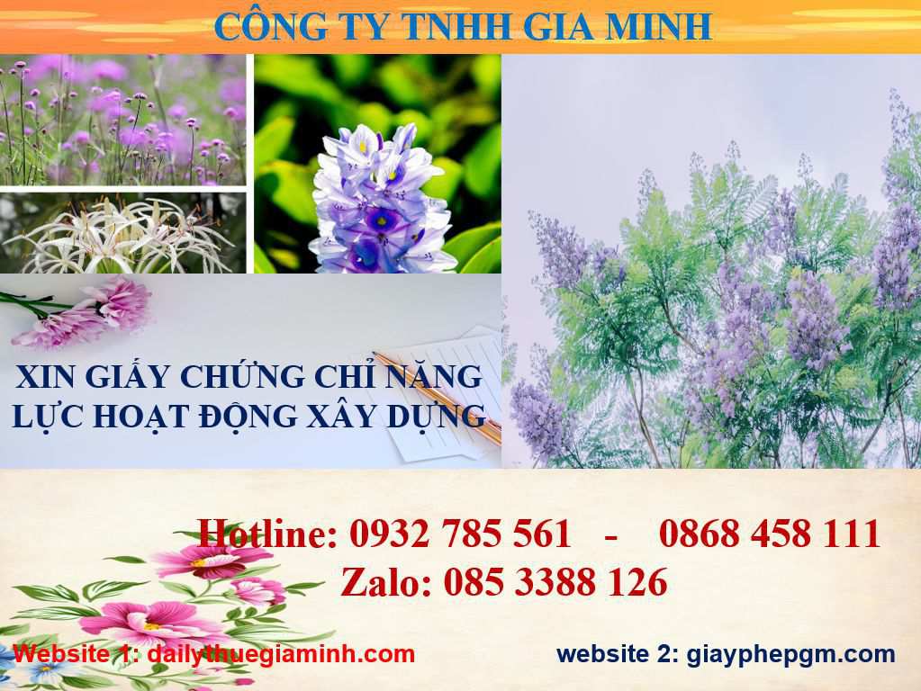 Dịch vụ cấp chứng chỉ năng lực xây dựng hạng III tại Cần Thơ 4 Dịch vụ cấp chứng chỉ năng lực xây dựng hạng III tại Cần Thơ