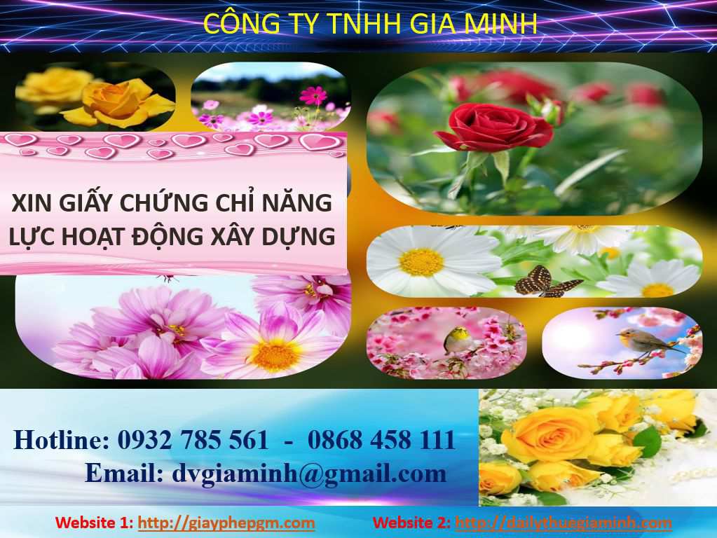 Dịch vụ cấp chứng chỉ năng lực xây dựng hạng III tại Quảng Bình 4 Dịch vụ cấp chứng chỉ năng lực xây dựng hạng III tại Quảng Bình