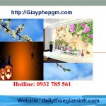 Dịch vụ giải thể công ty tại Hải Phòng 6 Cần giải thể công ty tại Hải Phòng