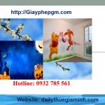 Dịch vụ giải thể công ty tại Kiên Giang 6 Giải thể công ty tại Kiên Giang
