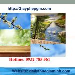 Dịch vụ giải thể công ty tại Nghệ An 6 Cần giải thể công ty tại Nghệ An