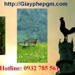 Những điều cần biết khi giải thể công ty tại Ninh Thuận 6 Cần giải thể công ty nhanh tại Ninh Thuận