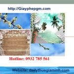 Dịch vụ giải thể công ty tại Ninh Thuận 6 Cần giải thể công ty tại Ninh Thuận
